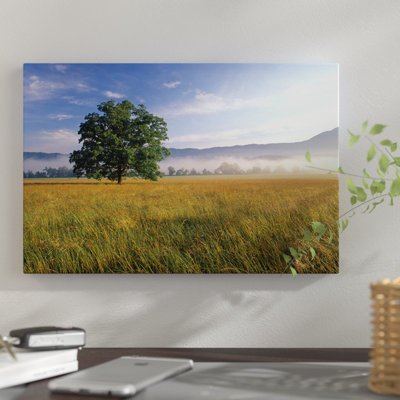«Lone Bur Oak Tree avec un fond brumeux, Cades Cove, Parc national des Great Smoky Mountains, Tennessee, États-Unis», reproduction de photo sur toile