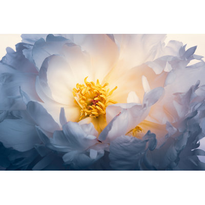 White Peony Flower 1 Piece Wrapped Canvas Wall Art