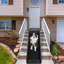 Rampe d'escalier pliante pour chien