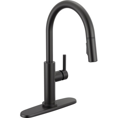 Robinet d'évier de cuisine à bec rétractable Nicoli, robinet de cuisine à poignée simple