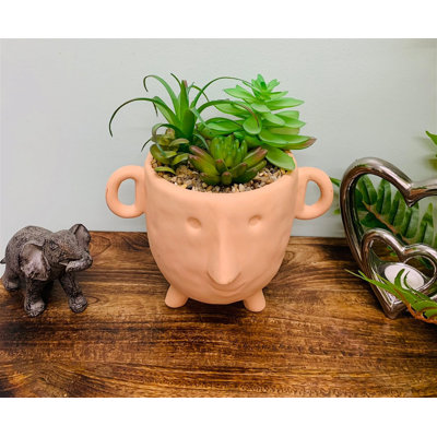 Faux Cactus Plant in Terracotta Pot