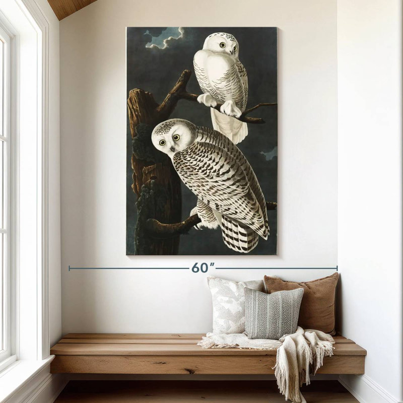 Brampt Snowy Owls, 51" H x 34" W