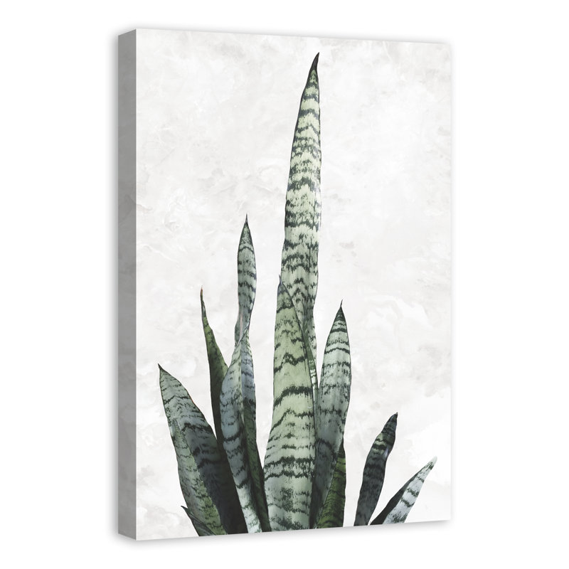 « serpent plante sud-ouest », reproduction d’impression sur toile tendue