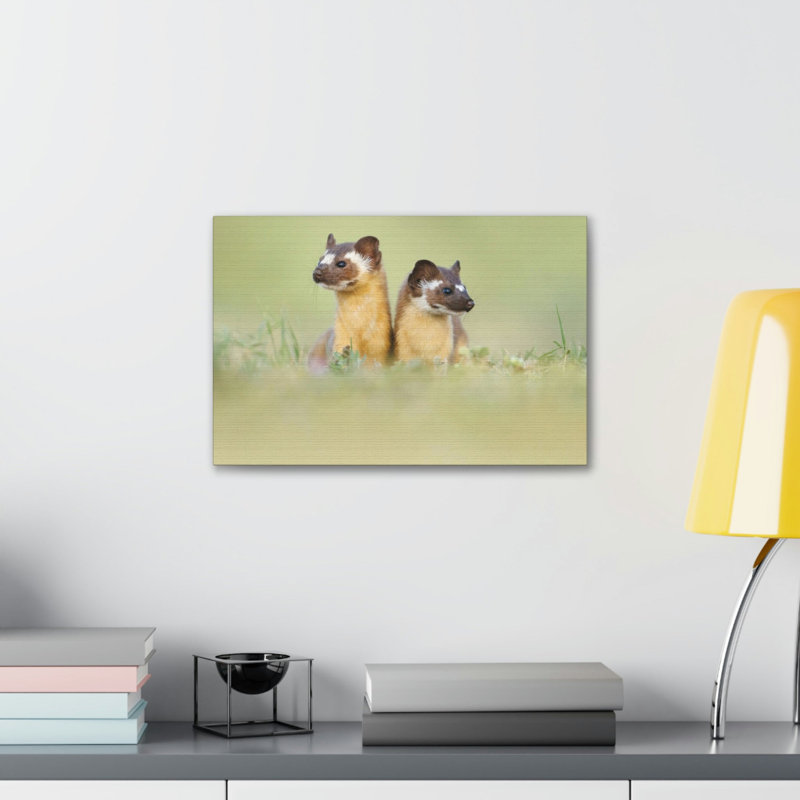 No Frame Print on Canvas, 27.94cm H x 35.56cm W