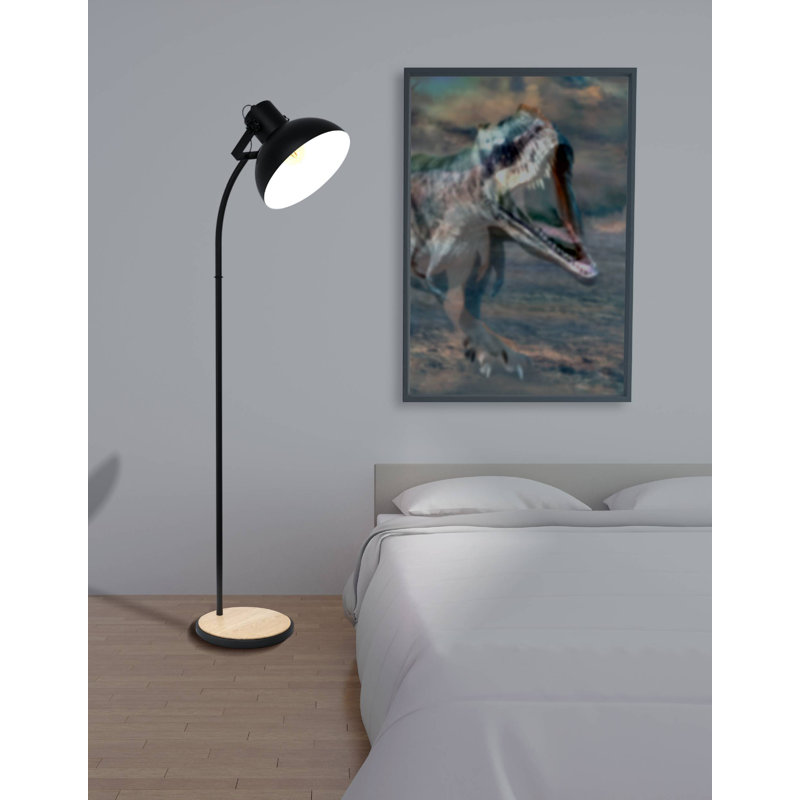 Roiguez 160cm Arched Floor Lamp, Black