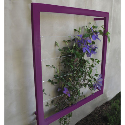 Treillis en acier Durene Wall