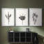 Encre botanique croquis II-457479929-457479932