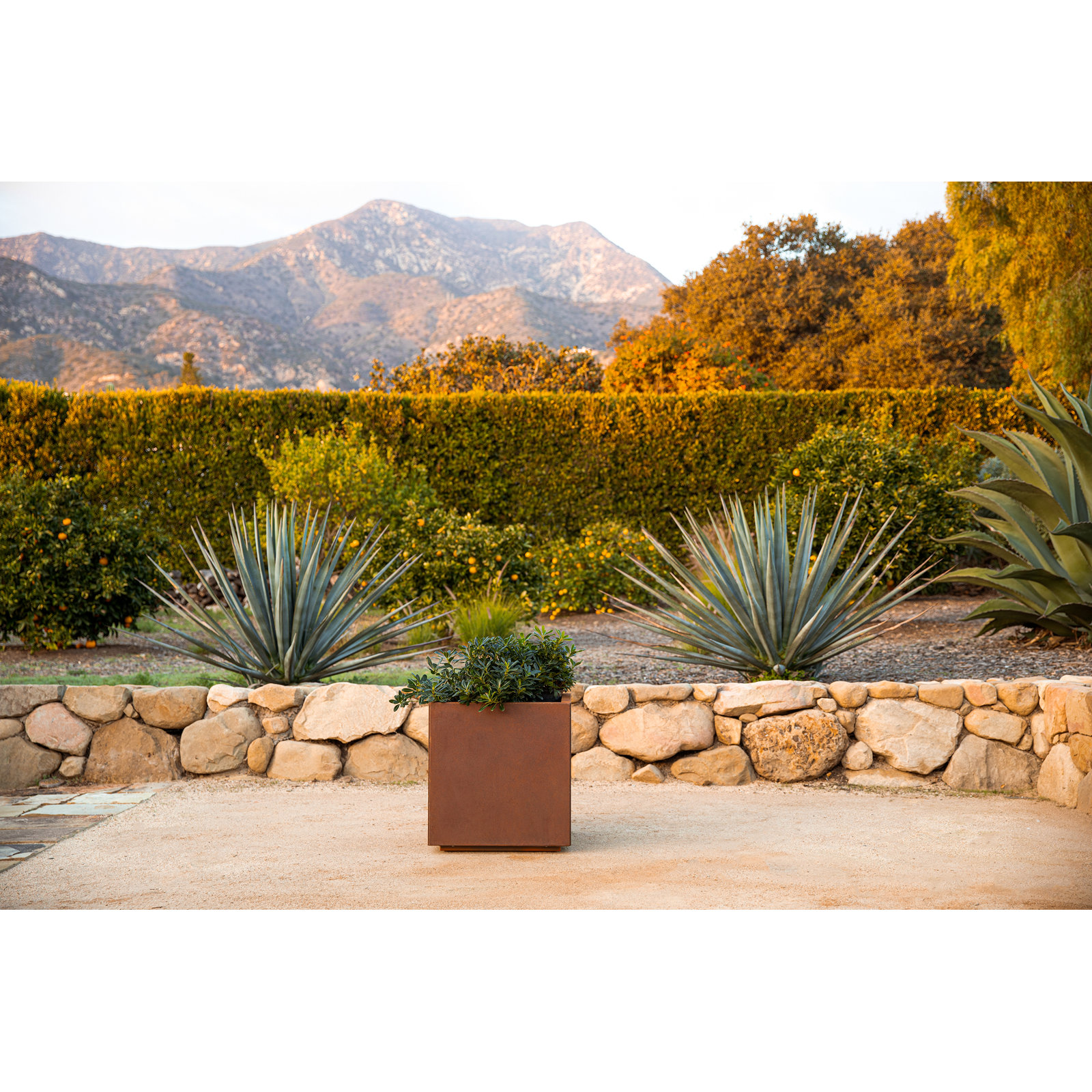 Corten Steel Series Cube Planter Box, 22" H x 21" W x 21" D