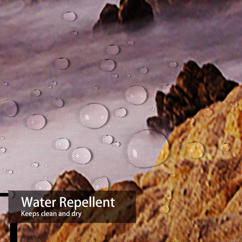 Rideau de douche à 12 crochets California River Beach River State, L 72 po x l 72 po