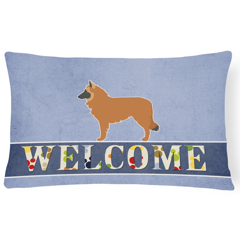  Coussin Belge