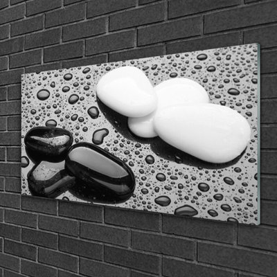 Art Stones 1 Piece Wall Art on Glass
