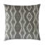 Echo Square Pillow Cover & Insert