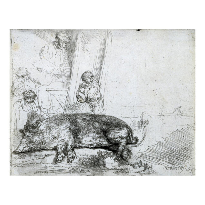 «The Hog» par Rembrandt van Rijn - Estampe numérique, H 22 po x l 28 po
