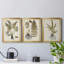 Fern Botanical IV - Ensemble de 3 peintures sur toile encadrées-131489272-131489273