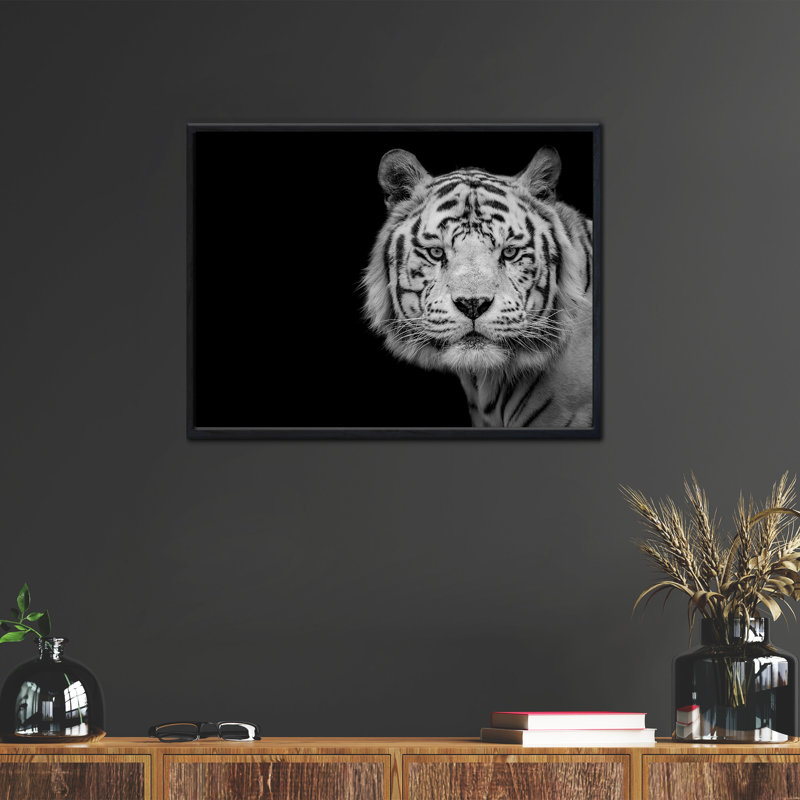 «Bengal White Tiger», reproduction d'art encadrée par Nauzet Baez, Papier avec cadre noir, H 12 po x l 18 po