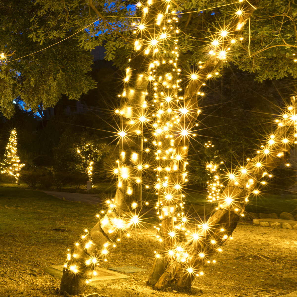 Wide Angle Multicolor LED Christmas String Lights - 25ft - 50 Mini 5mm  Bulbs - White Wire