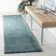 Jiang Aqua Area Rug