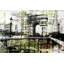 Parvez Taj - No Frame Print on Canvas-12309323