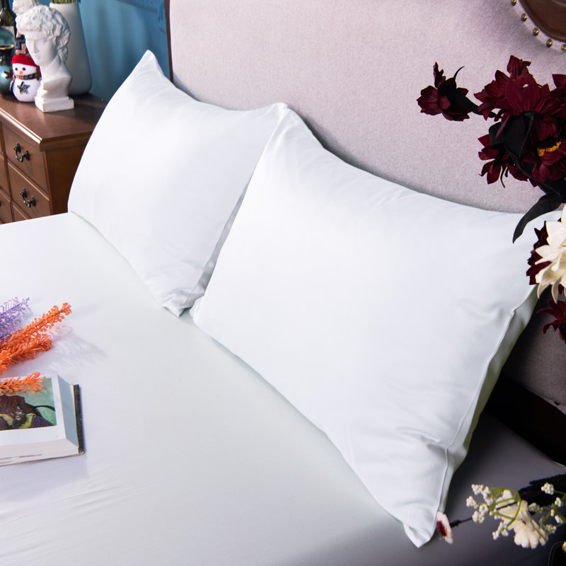 100% Cotton Standard - Set of 2, White, Queen