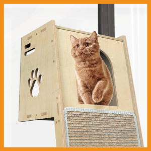 "Window Seat" for Cats