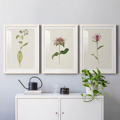 " Mauve Garden Flowers IV " 3 - Pieces Painting Print