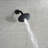 Adjustable Shower Head 1.5 GPM GPM