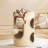 2 Tiers Cat Tree with Condons,Perch,Scratching Posts