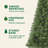 6FT Hinged Unlit Artificial Christmas Tree