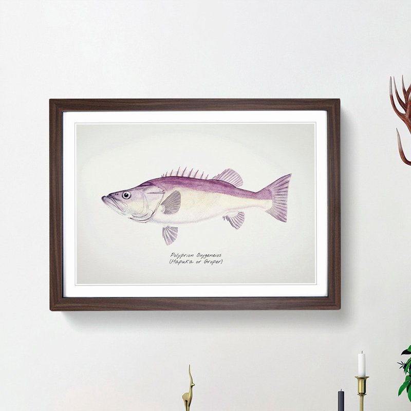 Illustration of a Groper Fish by F.E. Clarke - Picture Frame Painting Print, Walnut Framed, 36cm H x 48cm W x 2cm D