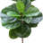66 " H Faux Fiddle Leaf Fig Tree in Plastic Pot