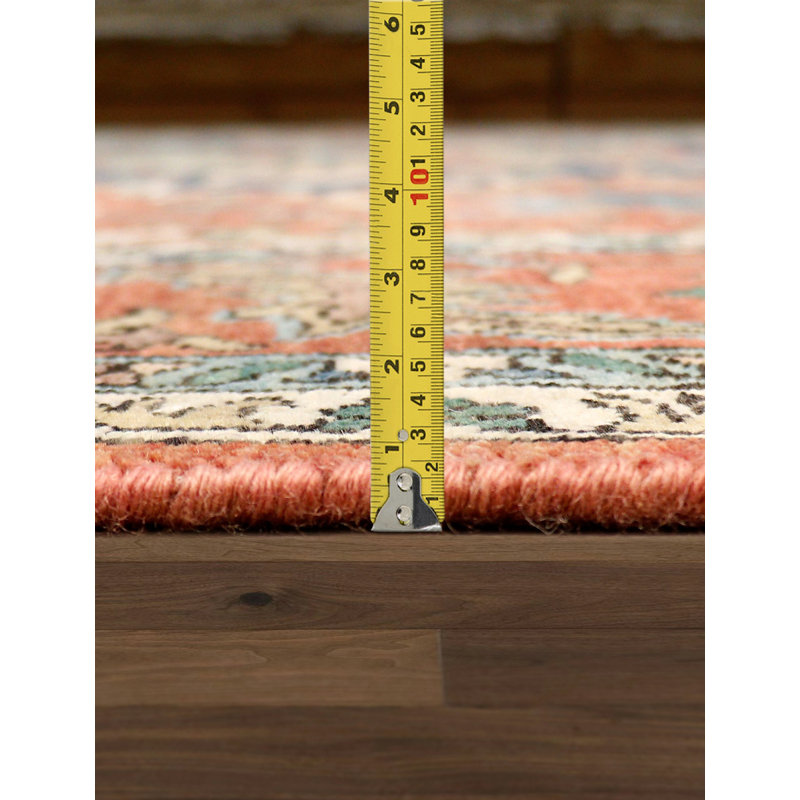 Serapi Hand Knotted Wool Oriental Area Rug in Rust, Rectangle 8'10" x 12'
