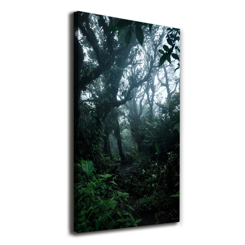 The Rainforest - Wrapped Canvas Print