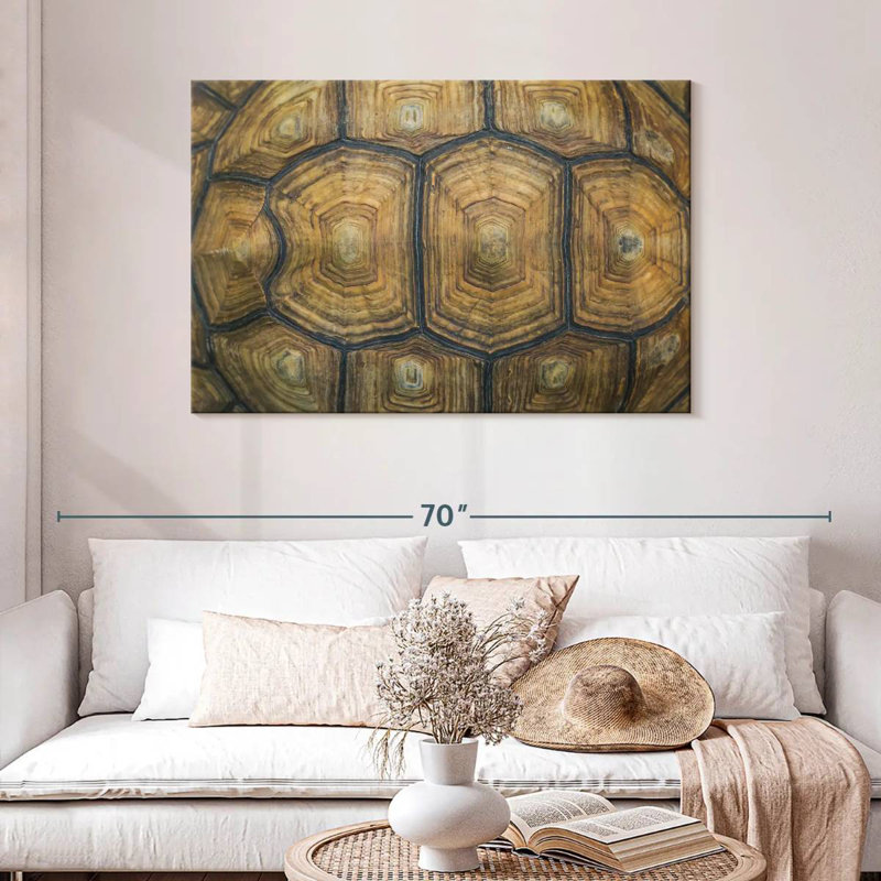 Brampt Giant Tortoise Shell, 30" H x 45" W