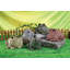 Statue de jardin classique «Samson» Toad Hollow-745229555