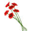 Arrangement floral-2093447268