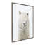 «Alpaca Fluff» par Amy Peterson, reproduction d'art sur toile encadrée-1393694077-1393694076