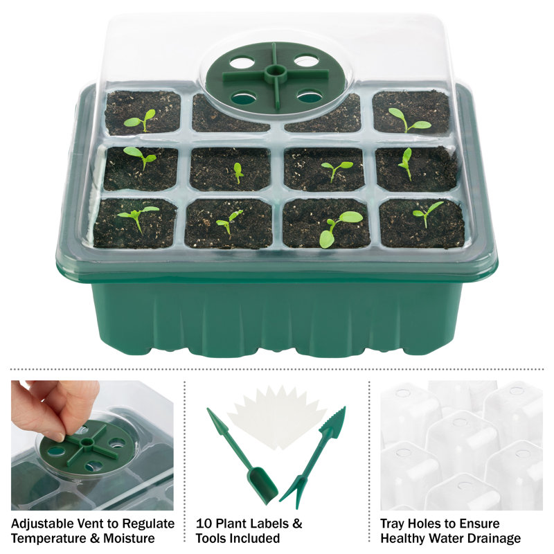 Green Plastic Seed Starter Tray Kit with Humidity Dome