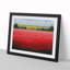 XH1022-607X An Enigmatic Poppy Field Flowers - Single Picture Frame Print-961896668-961896671