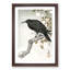 A Crow On The Blossom Tree by Ohara Koson - Single Picture Frame Painting-55457622-55457623