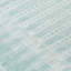 Tapis turquoise intérieur / extérieur lavable à la machine-1330391726