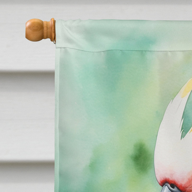 House Flag, Cockatoo
