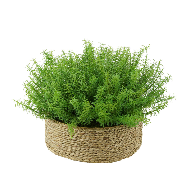Rosemary Grass In Large Seagrass Tray 15'' Faux Grass in Wicker/Rattan Basket, Natural 