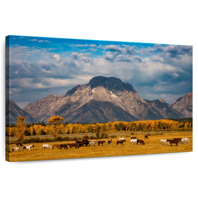 Alvord Teton Horse Ranch