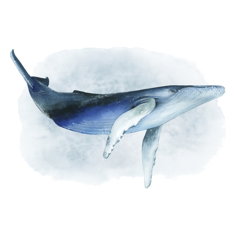 Humpback I by Grace Popp - Painting on Canvas, 61 cm H x 91 cm W, Wrapped Canvas