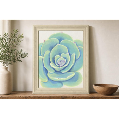Art mural Pastel Succulent IV - 22 po x 26 po - Cadre brun clair