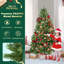 Sapin de Noël-1106260399