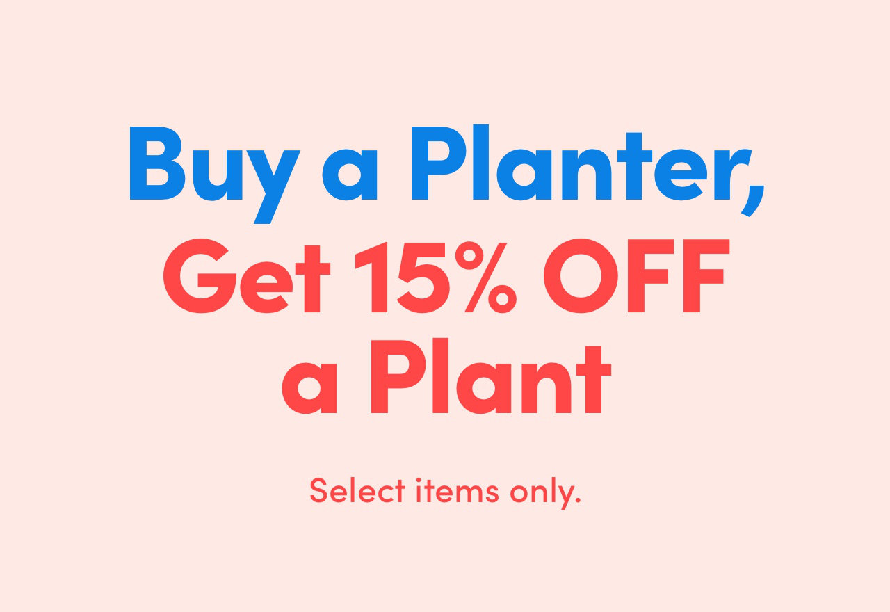 [BIG SALE] Buy Any Planter, Get 15 OFF a Plant You’ll Love In 2023