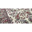 Jahan Hand Woven Wool Oriental Area Rug