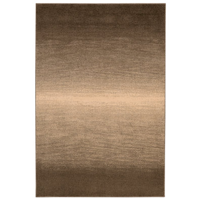 Ombre Indoor Rug