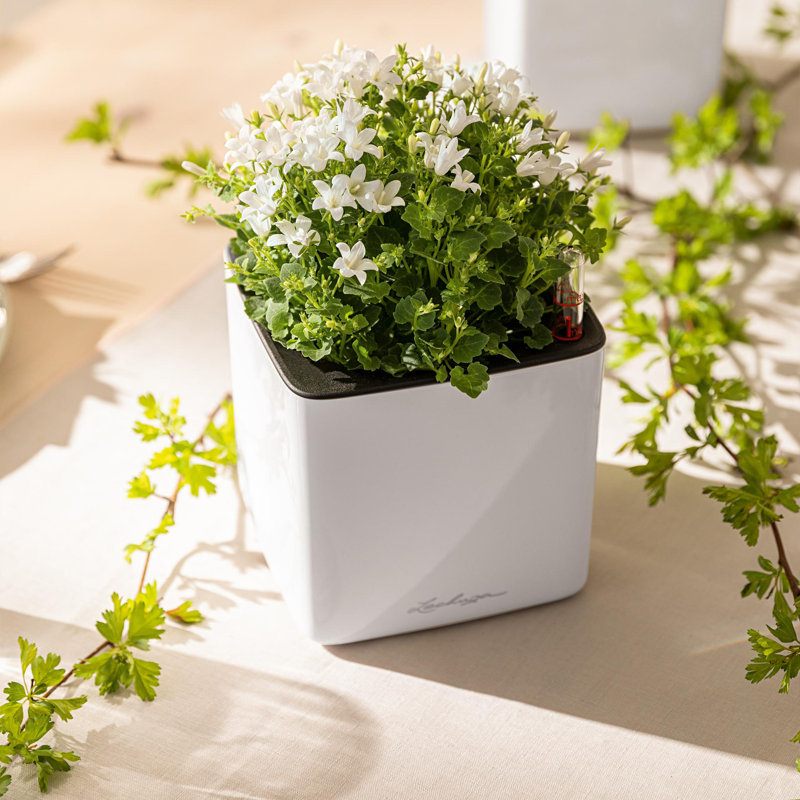 Self-Watering Planter Box, Apricot
